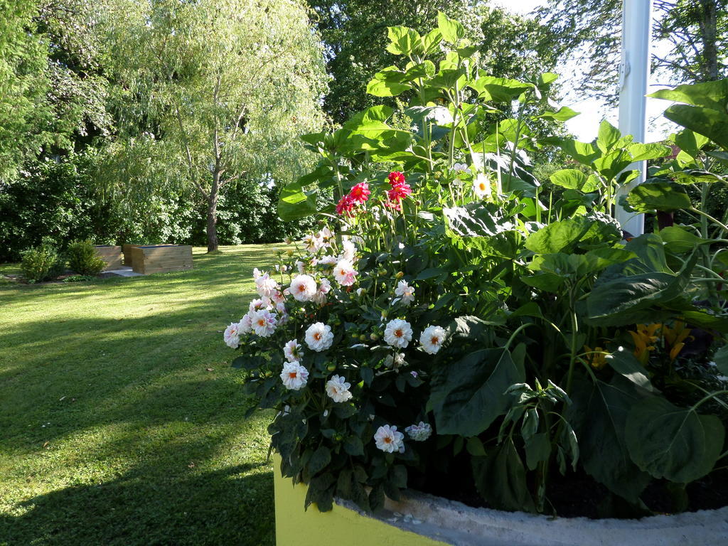 Skogis Bed & Breakfast Katrineholm Exterior photo